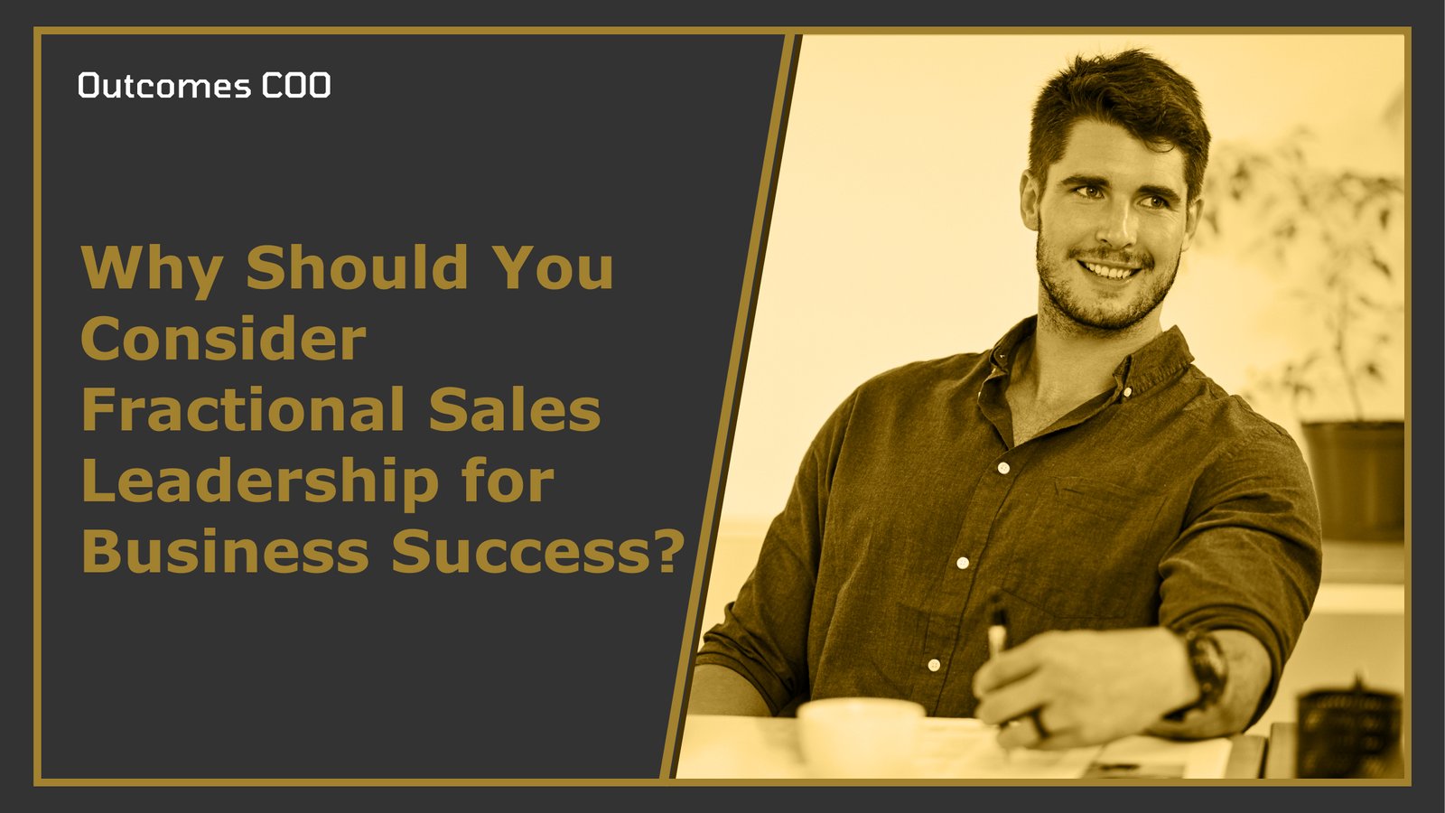 Fractional Sales Leadership